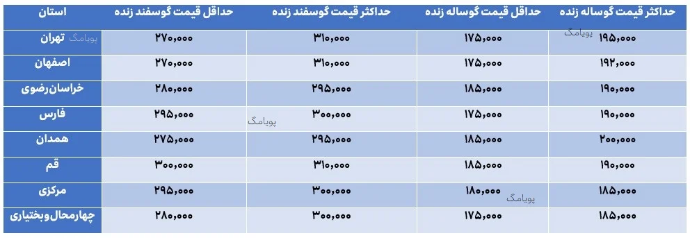 قیمت گوسفند