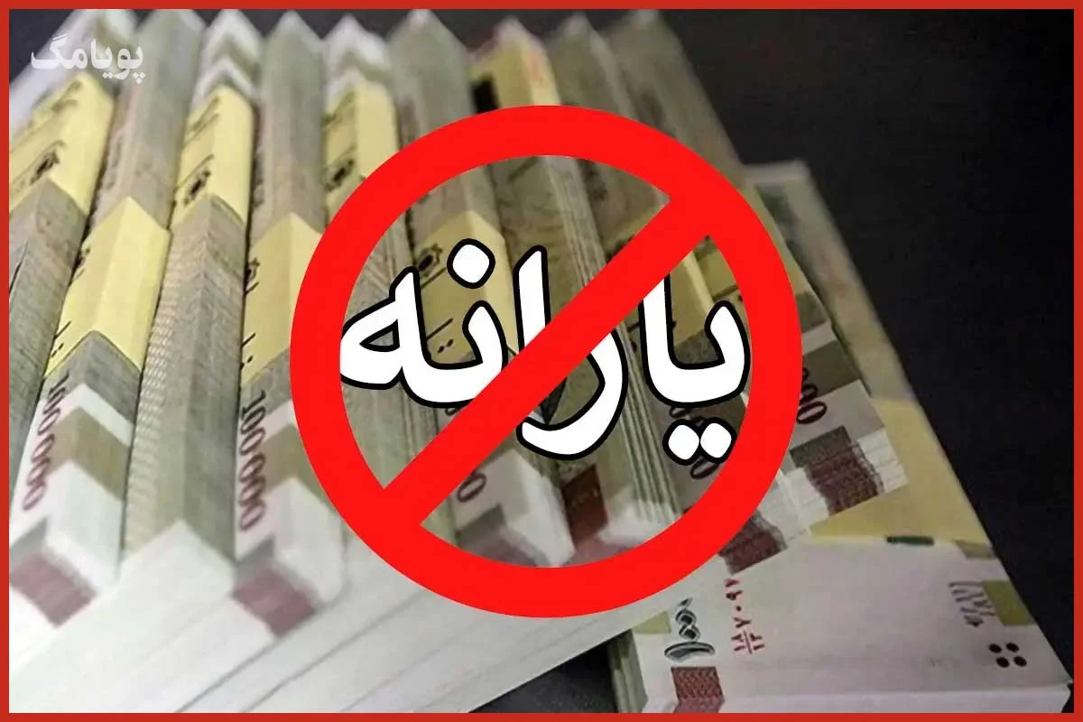 یارانه این افراد در سال 1404 قطع میشود! + اینفوگرافی