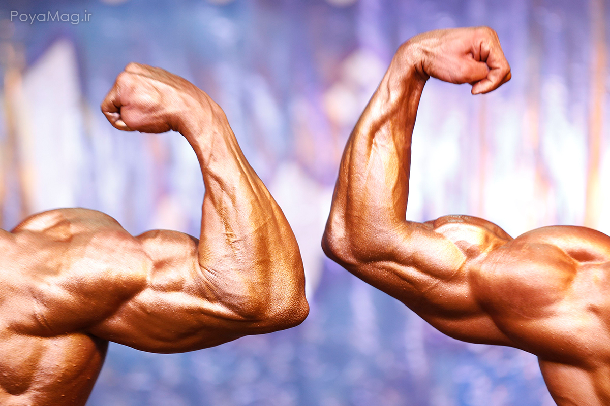 کتک کاری در مسابقات پرورش اندام قهرمانی کشور؛ اسامی متخلفان به کمیته انضباطی تحویل داده شد 1 کتک کاری در مسابقات پرورش اندام قهرمانی کشور