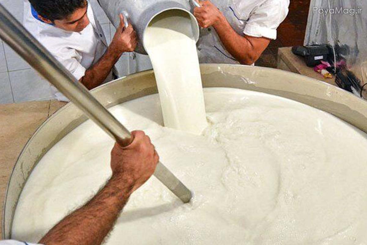 شیرخام گران شد | قیمت شیرخام در مغازه های لبنیات سنتی اعلام شد 1 شیرخام