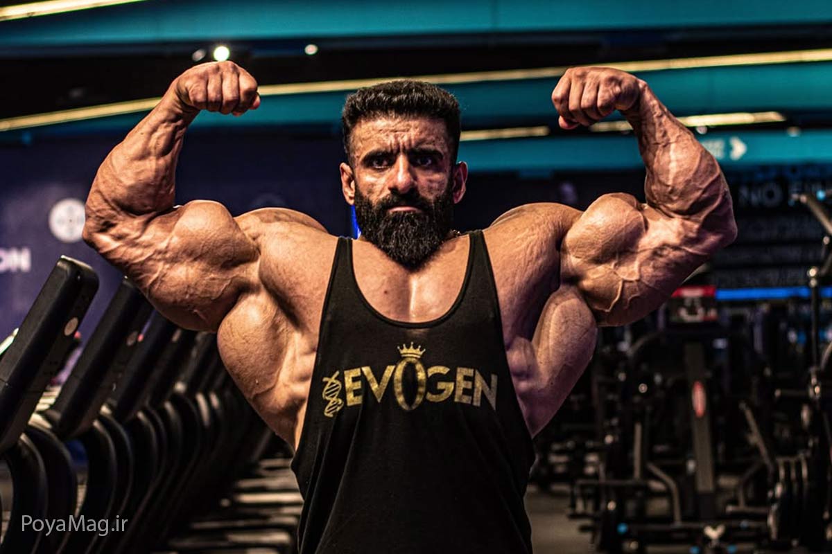 زندگینامه و بیوگرافی هادی چوپان؛ بدن آماده گرگ ایرانی برای مسابقات مستر المپیا ۲۰۲۵ 1 هادی چوپان