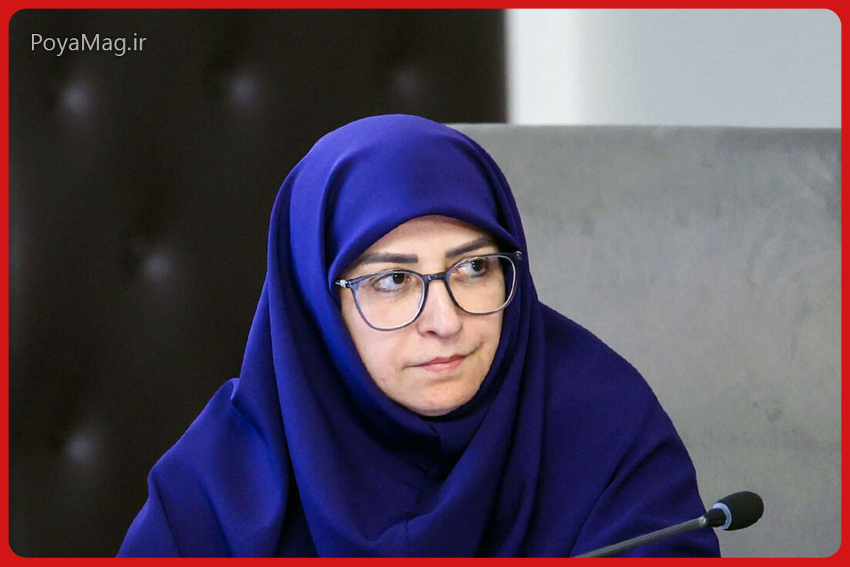 شینا انصاری