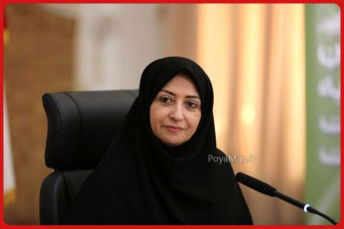 شینا انصاری