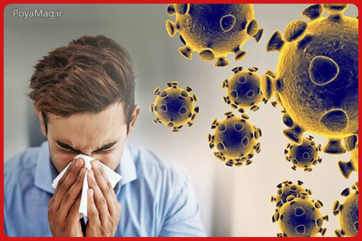وضعیت وخیم شیوع آنفلوآنزا در این ۶ استان | اعلام شرایط خطر آنفلوآنزا 1 آنفلوآنزا