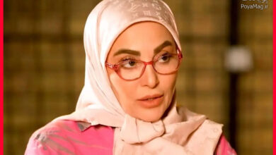 ماجرای ژیلا صادقی و احسان کرمی چیست ؟ | شکایت ژیلا صادقی در آمریکا از احسان کرمی 9 ژیلا صادقی