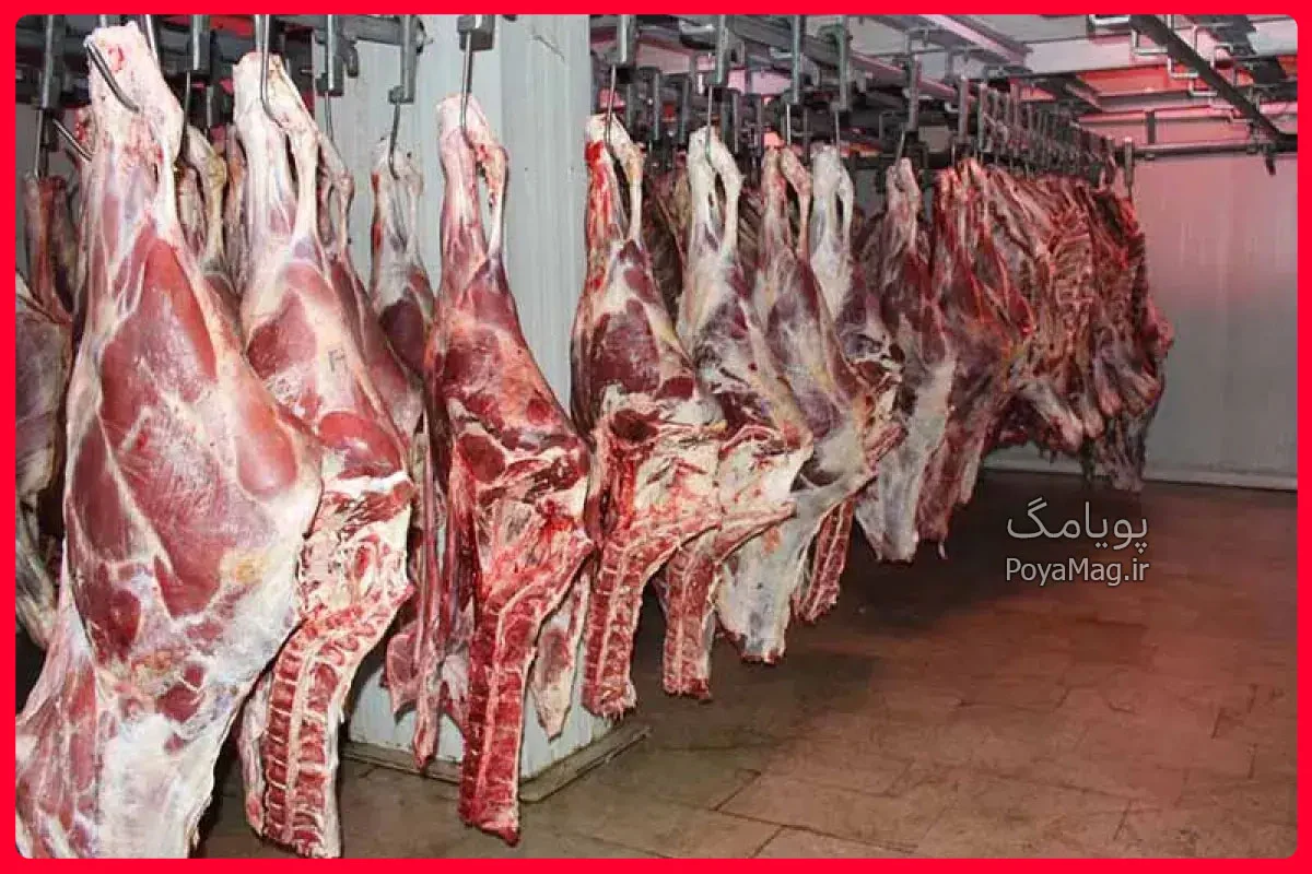 گوشت