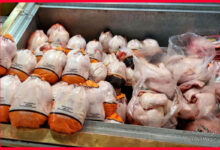 قیمت مرغ کاهش یافت | مردم نخریدند قیمت به ۱۳۰ هزار تومان رسید 2 قیمت مرغ