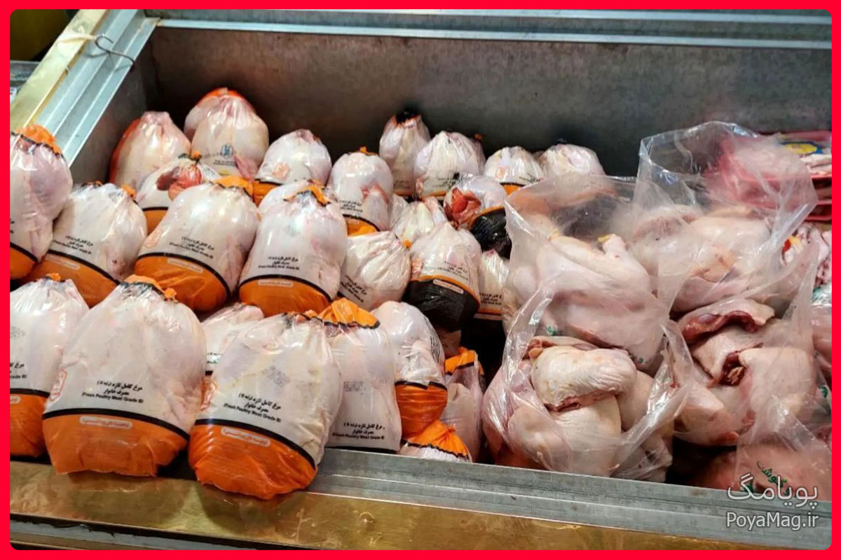 قیمت مرغ کاهش یافت | مردم نخریدند قیمت به ۱۳۰ هزار تومان رسید 1 قیمت مرغ