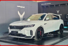 وویا فری 2026