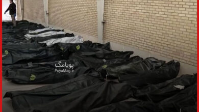 اسامی جان باختگان دی ماه 1404