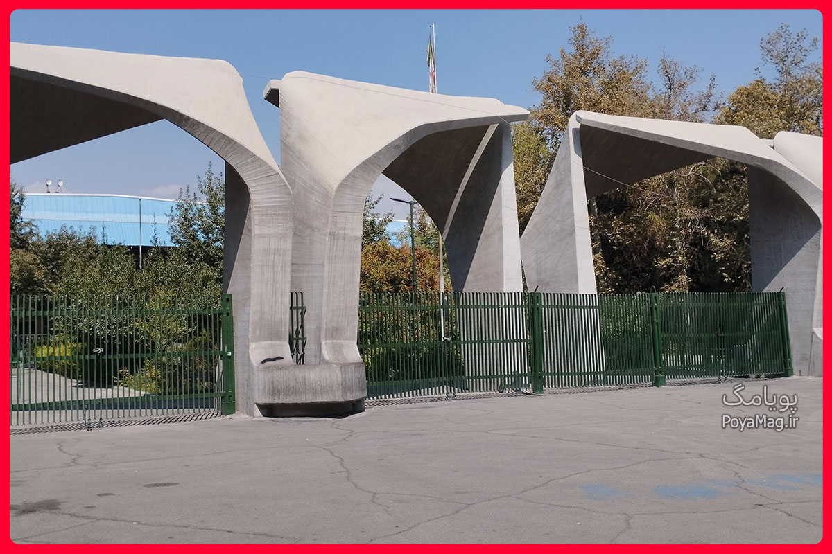 دانشگاه تهران