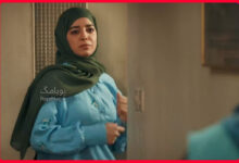 بیوگرافی دریا آقاخانی در نقش گلناز در سریال اسباب زحمت (دختر واقعی سعید آقاخانی) 35 دریا آقاخانی