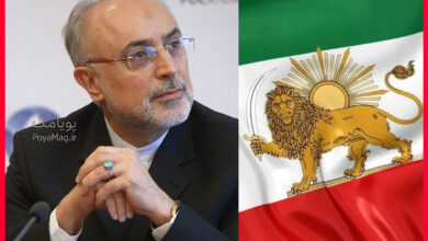 نشان شیر و خورشید