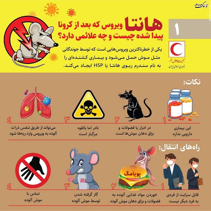هانتا ویروس