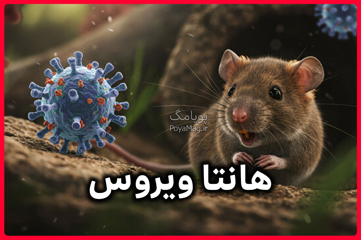 hantavirus