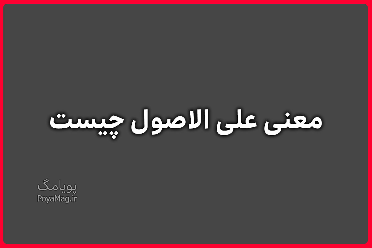معنی علی الاصول