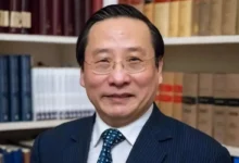 ویکتور گائو
