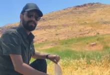 قاتلان حمیدرضا رجب زاده