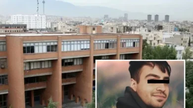 رضا دالمن