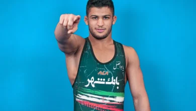 ابوالفضل شمسی پور