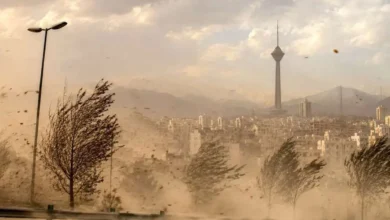 تندباد