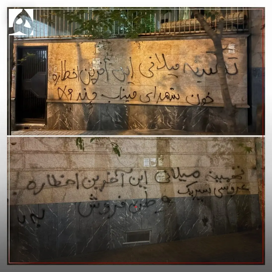 تهمینه میلانی