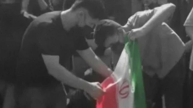 مهیار افتخاری و امیرمحمد کریمی