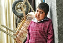 حمیدرضا حافظ شجری