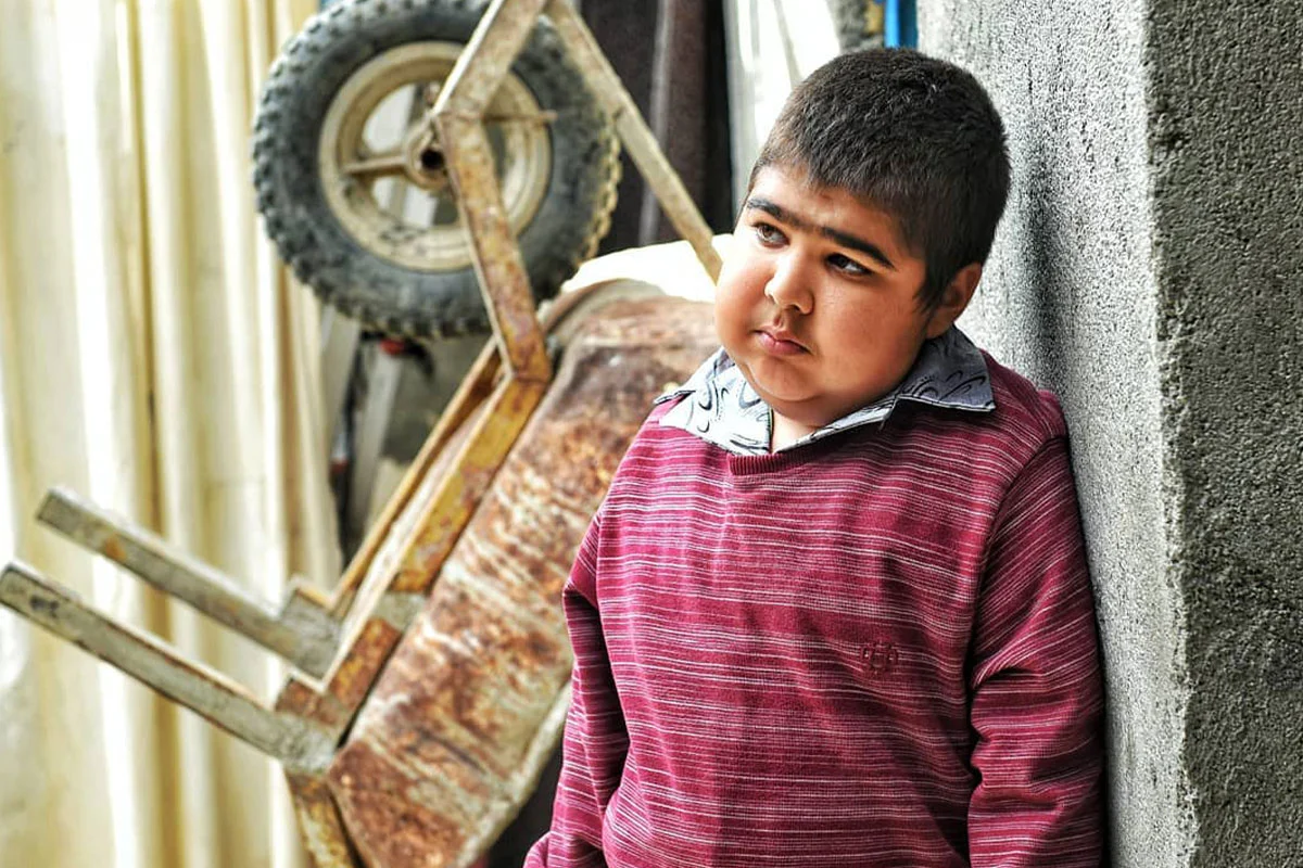 حمیدرضا حافظ شجری